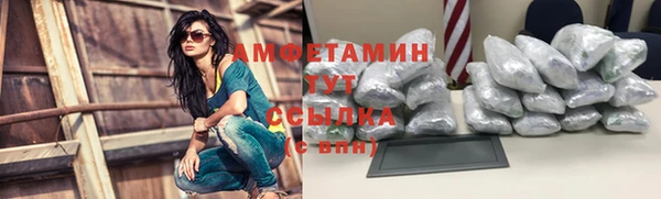 дмт Магас