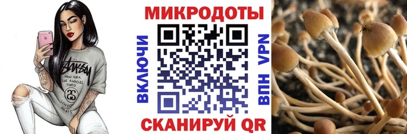 где найти наркотики  Тихвин  Псилоцибиновые грибы Magic Shrooms 