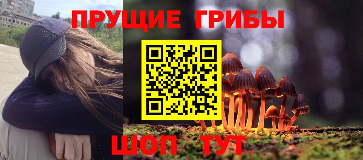 Галлюциногенные грибы мухоморы Тихвин