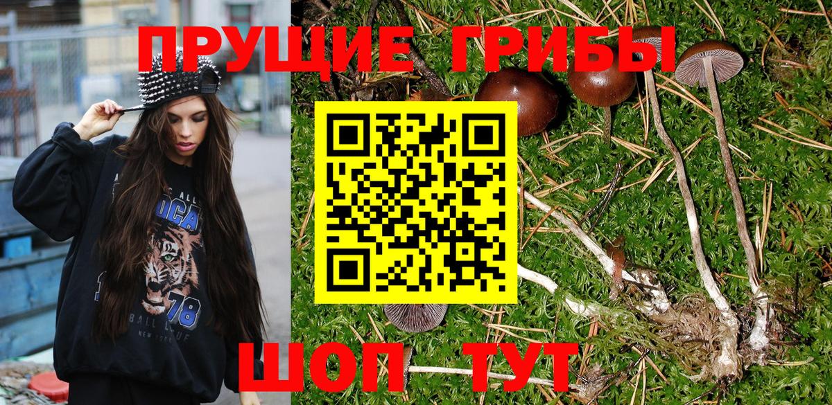 Галлюциногенные грибы Psilocybe  Вход с VPN  хочу наркоту  Тихвин 